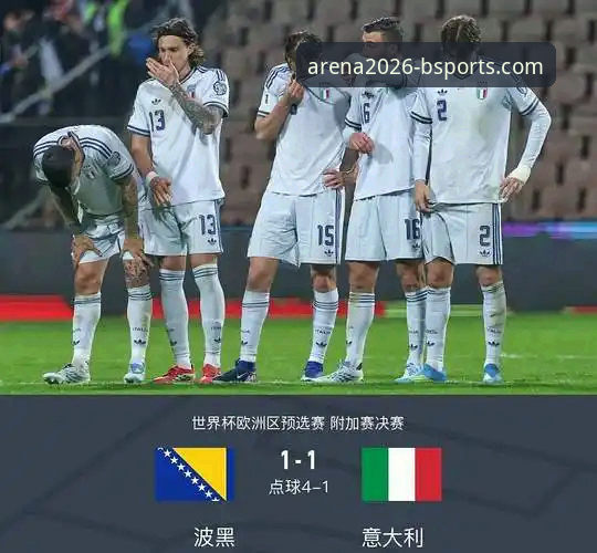 资深用户复盘意大利出局夜：波黑点球狂欢背后的赛事数据解读与B体育平台使用心得
